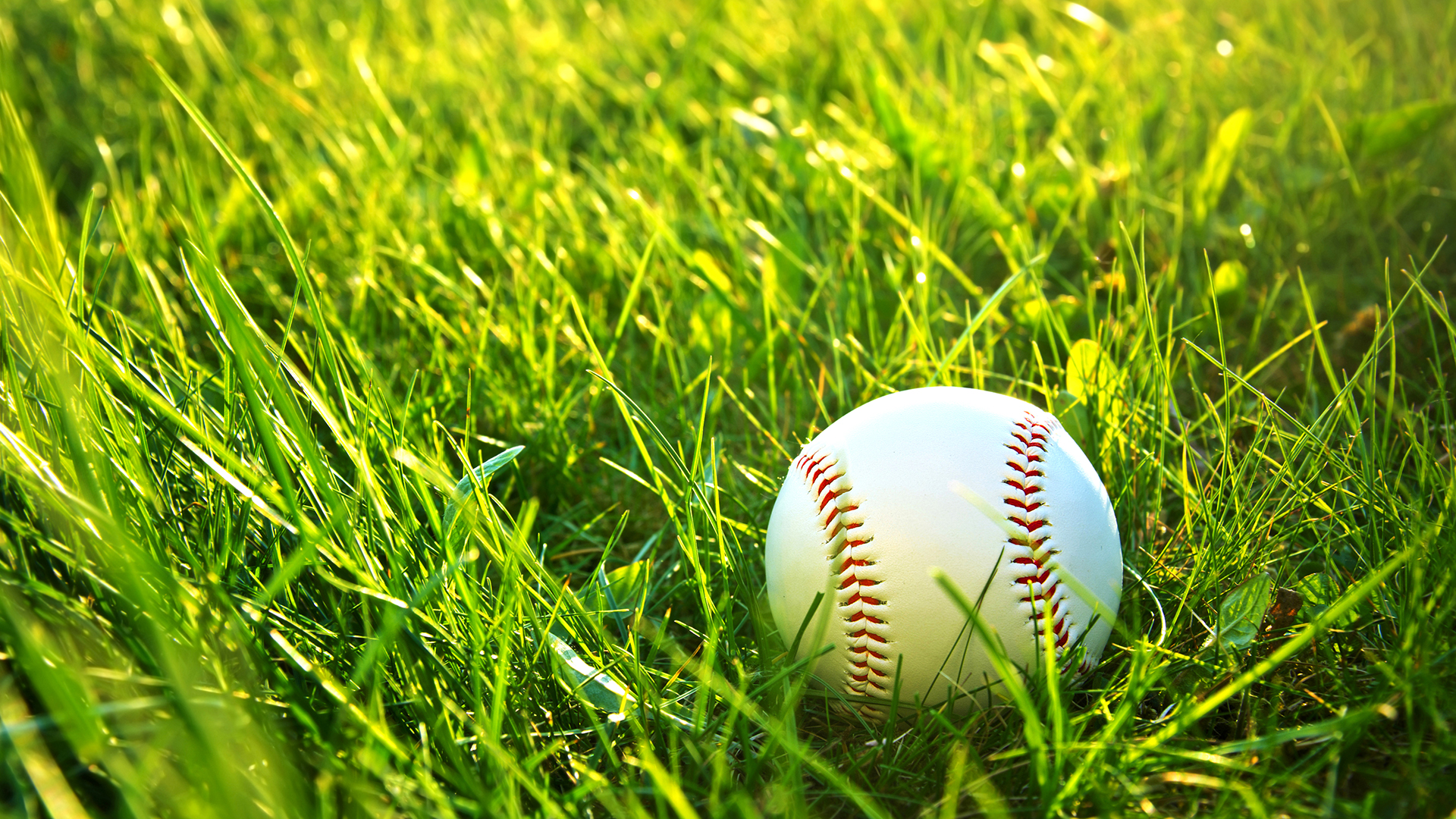 baseball